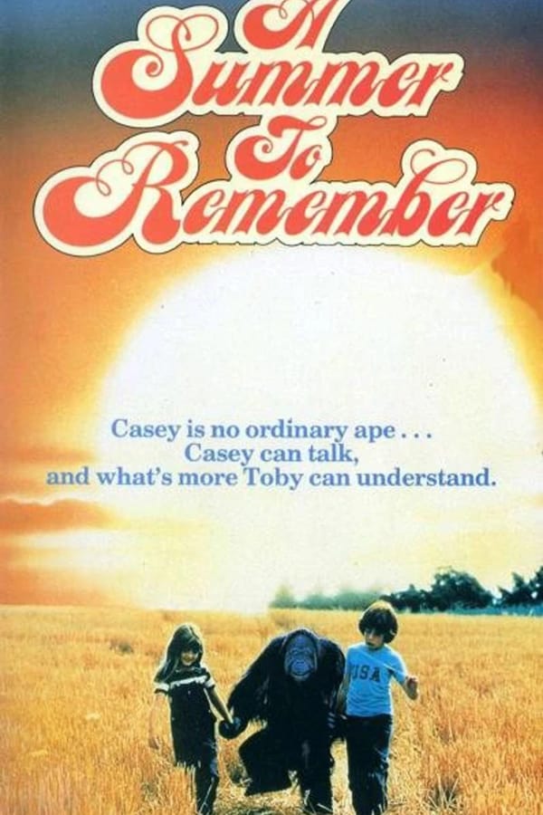 Cover of the movie A Summer to Remember