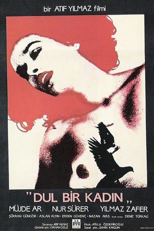 Cover of the movie A Widow