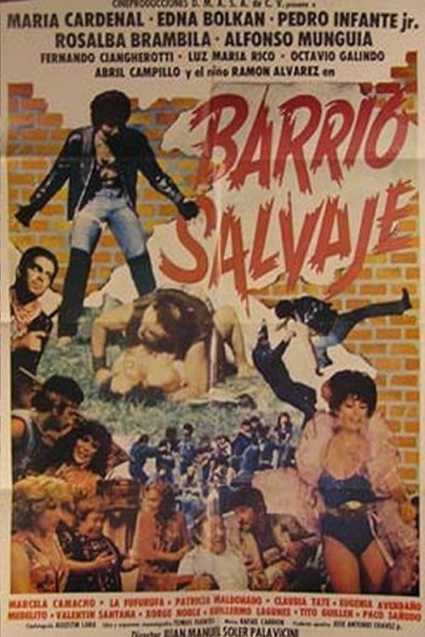 Cover of the movie Barrio Salvaje