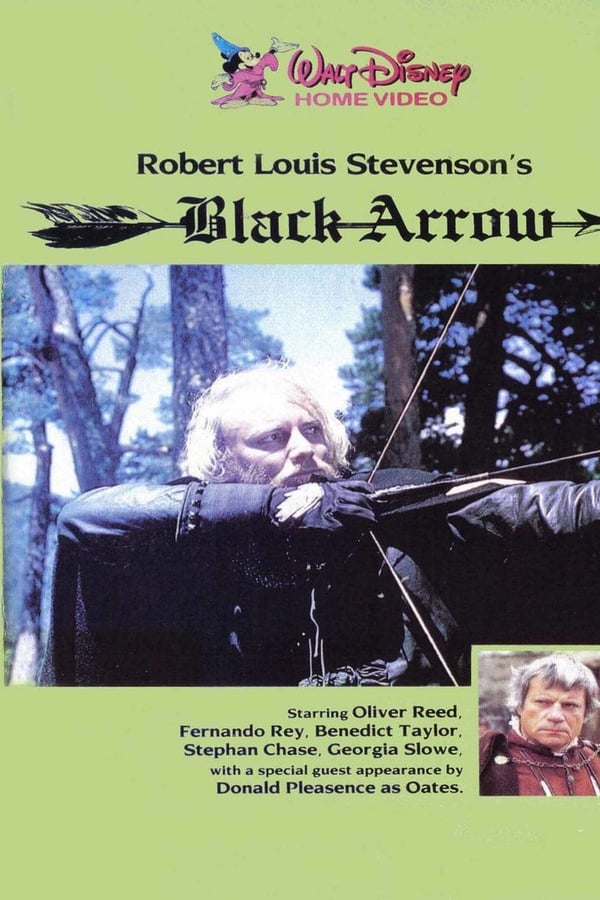 Cover of the movie Black Arrow