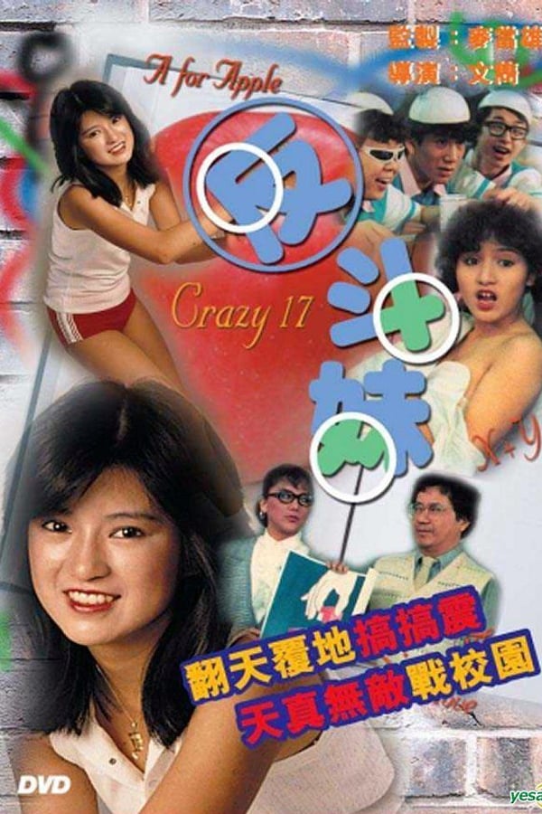 Cover of the movie Crazy 17