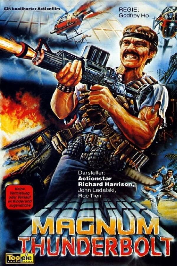 Cover of the movie Majestic Thunderbolt