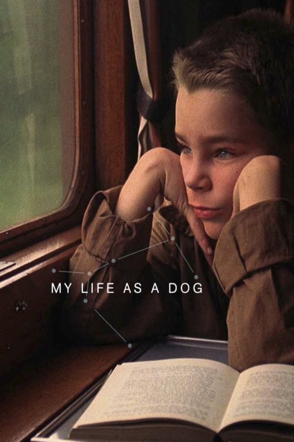 Cover of the movie My Life as a Dog