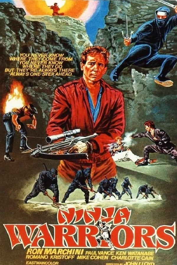 Cover of the movie Ninja Warriors
