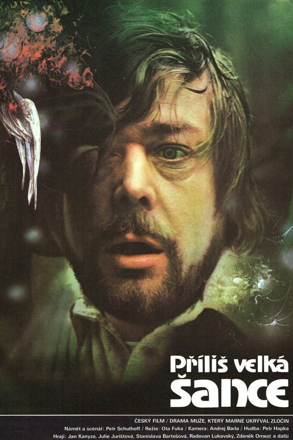 Cover of the movie Příliš velká šance