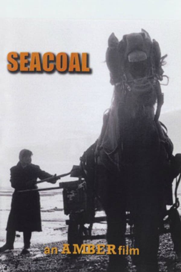 Cover of the movie Seacoal