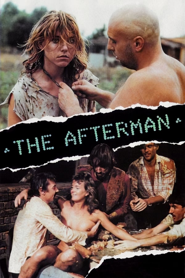 Cover of the movie The Afterman