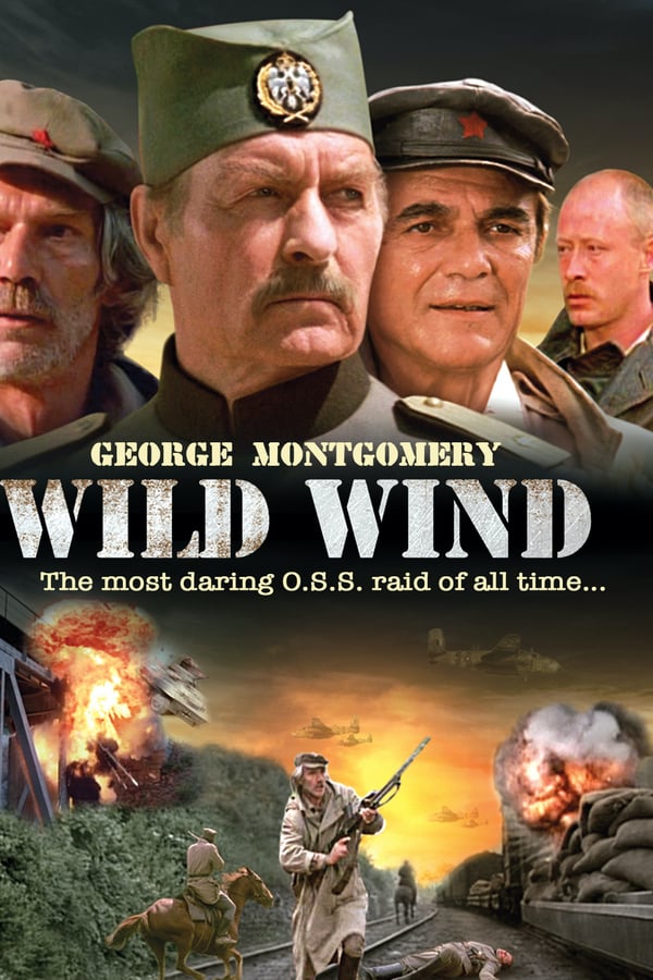 Cover of the movie Wild Wind