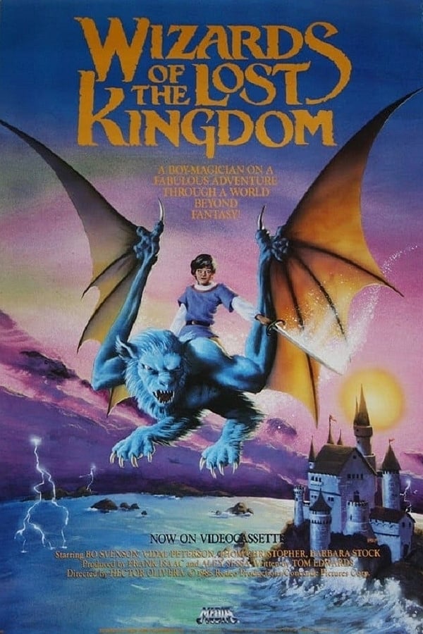 Cover of the movie Wizards of the Lost Kingdom
