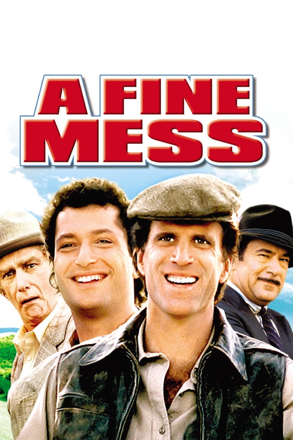 Cover of the movie A Fine Mess