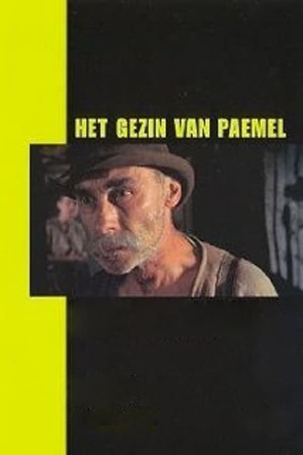 Cover of the movie Het gezin van Paemel