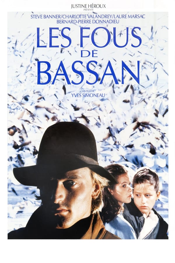 Cover of the movie In the Shadow of the Wind