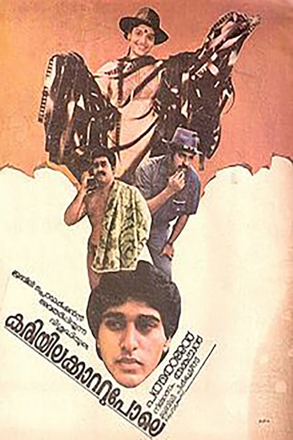 Cover of the movie Kariyilakkattu Pole