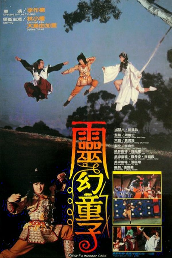 Cover of the movie Kung Fu Wonder Child