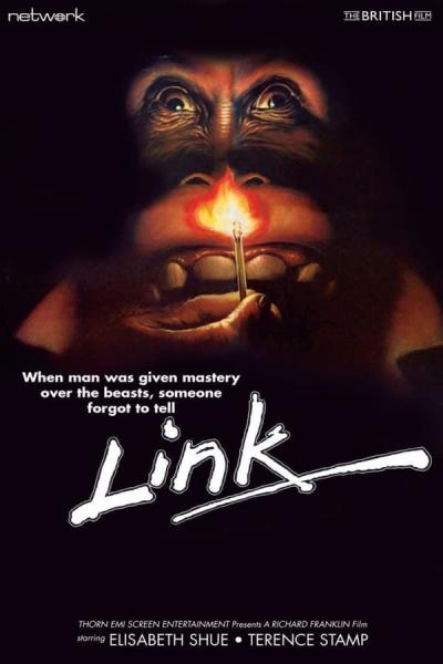 Cover of Link
