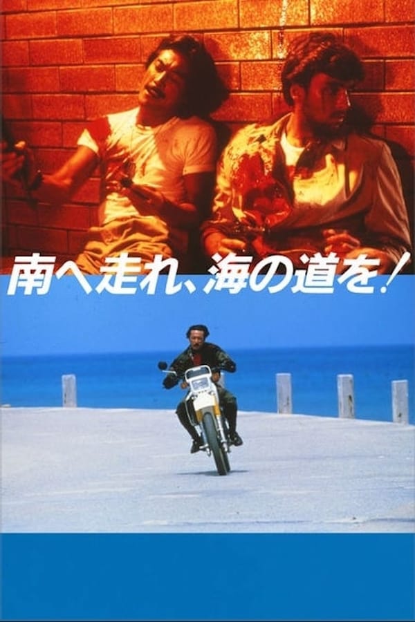 Cover of the movie South to the Horizon