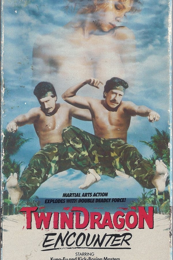 Cover of the movie Twin Dragon Encounter