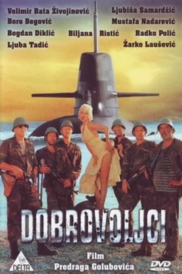 Cover of the movie Volunteers