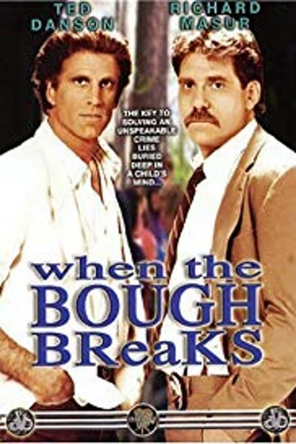 Cover of the movie When The Bough Breaks