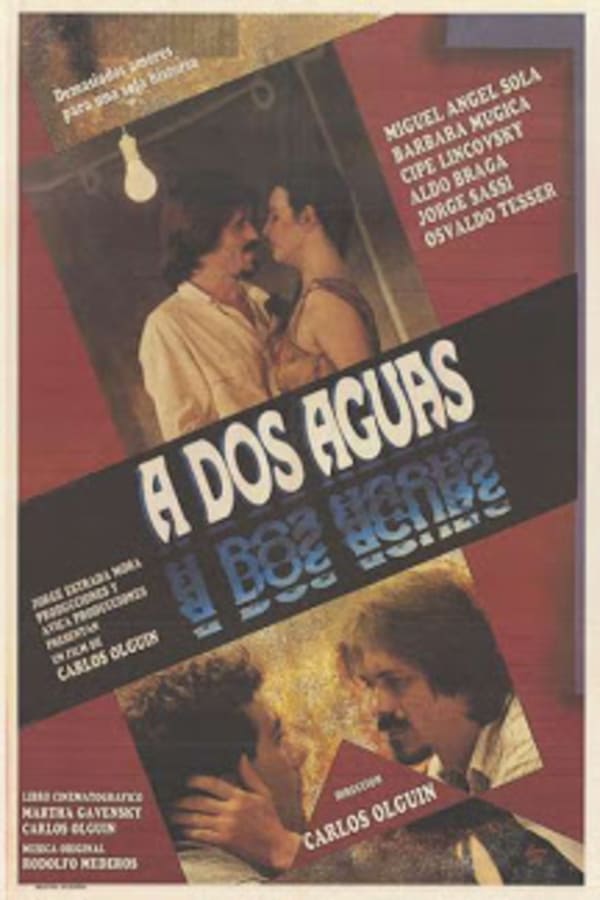 Cover of the movie A dos aguas