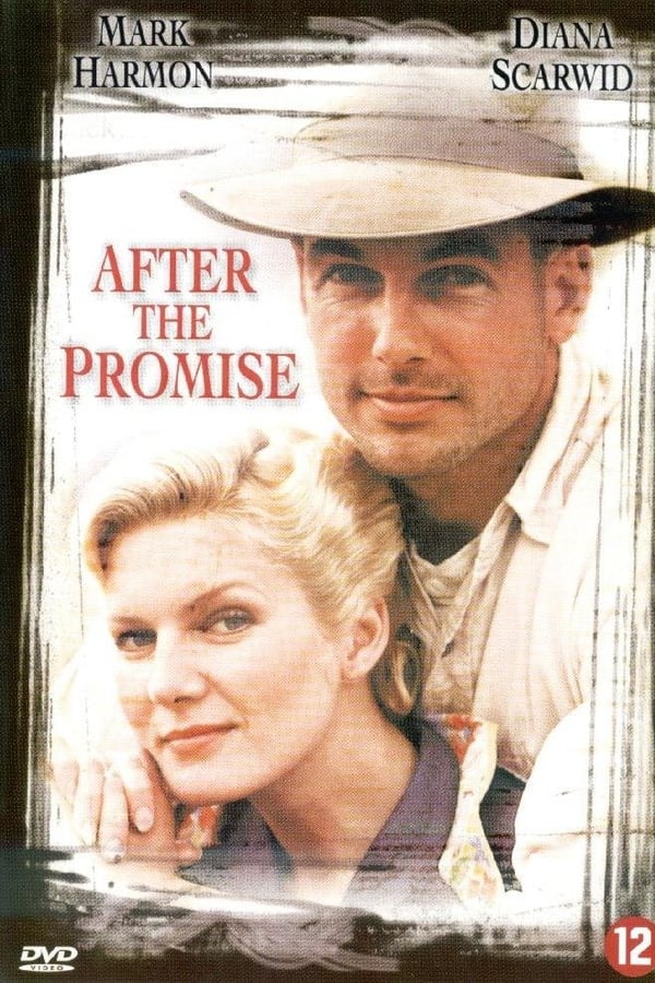 Cover of the movie After the Promise