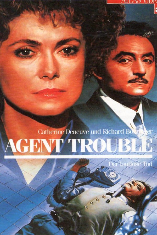 Cover of the movie Agent Trouble