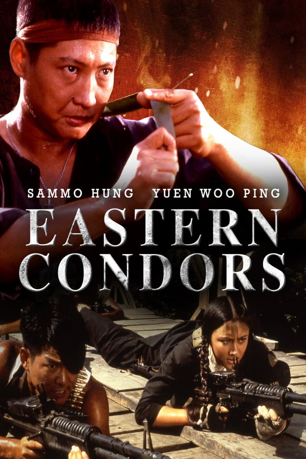Cover of the movie Eastern Condors