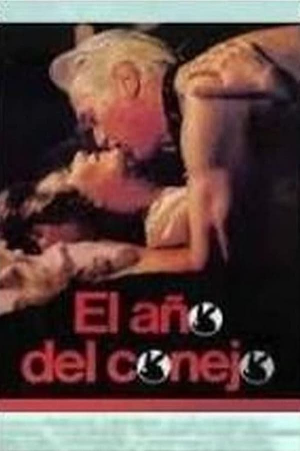 Cover of the movie El Año del conejo