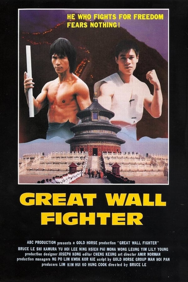 Cover of the movie Fire on the Great Wall