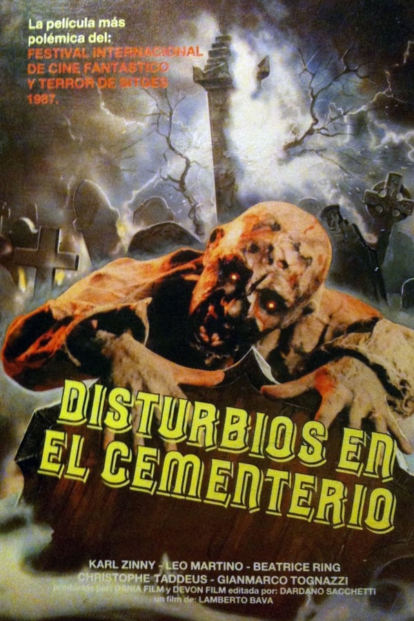 Cover of the movie Graveyard Disturbance