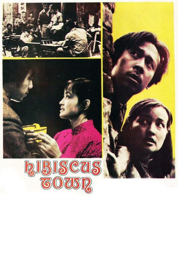 Cover of the movie Hibiscus Town
