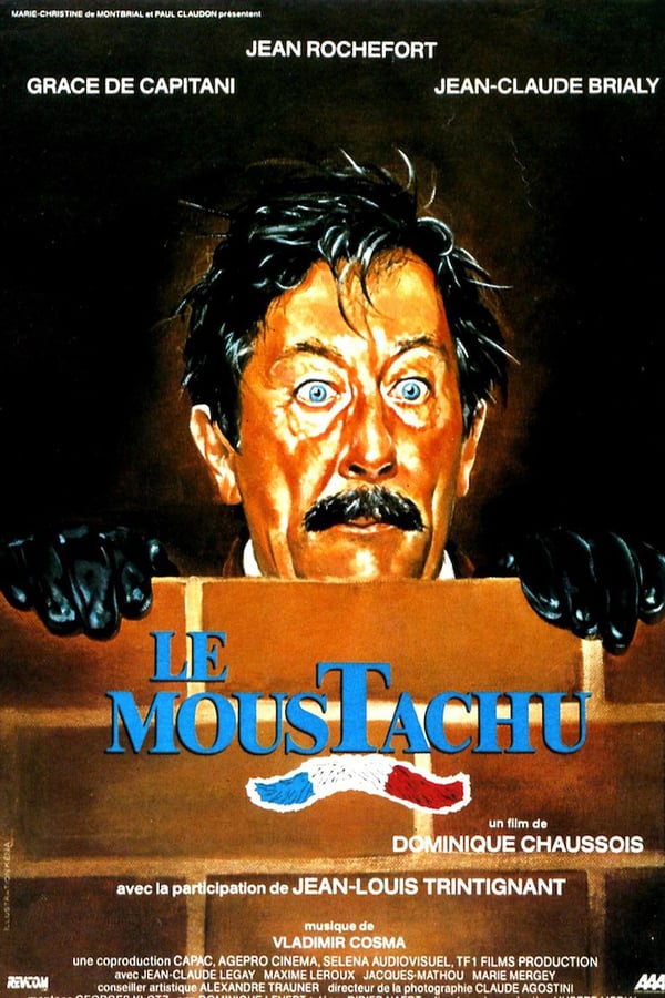Cover of the movie Le moustachu