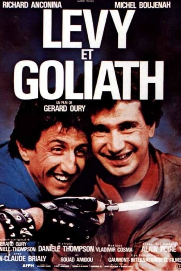 Cover of the movie Lévy et Goliath