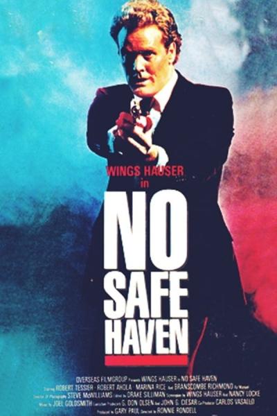 Cover of the movie No Safe Haven