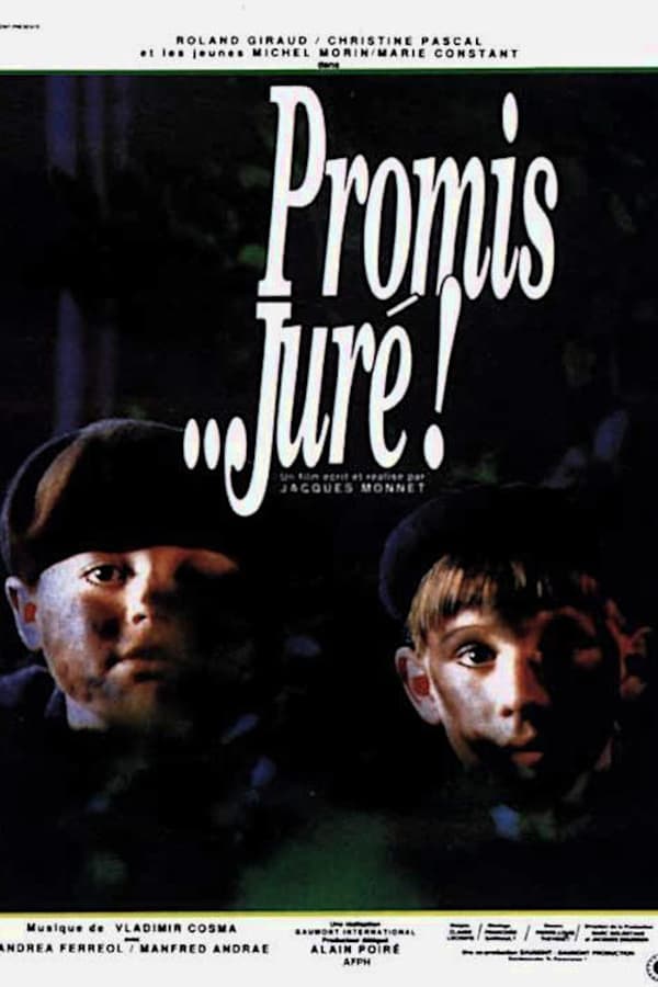Cover of the movie Promised... sworn!
