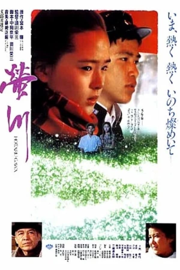 Cover of the movie River of Fireflies
