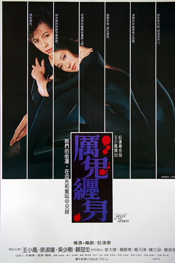 Cover of the movie Split of the Spirit