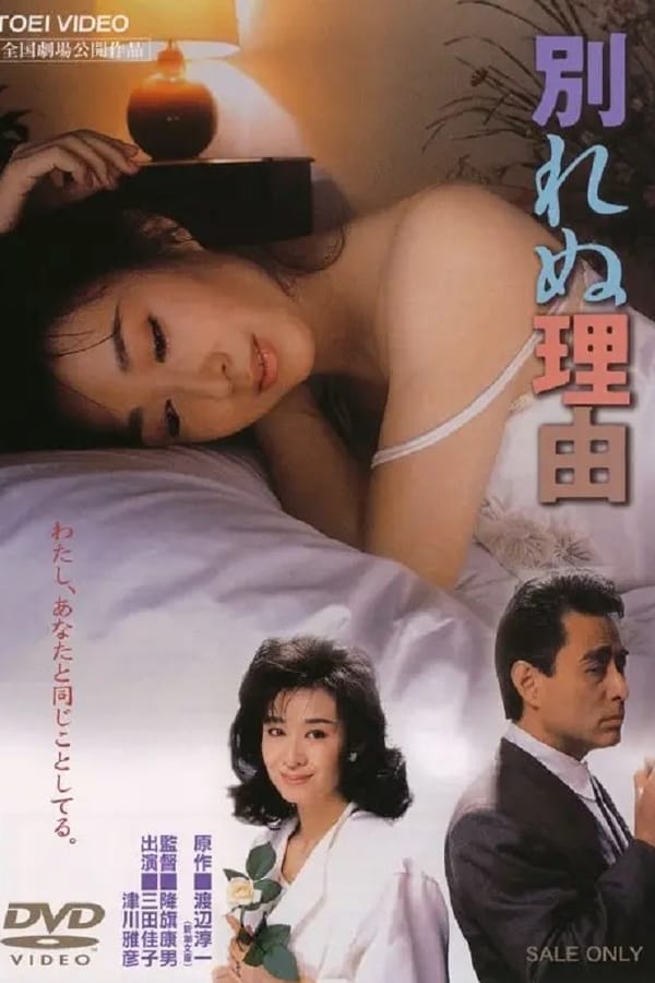 Cover of the movie Wakarenu riyû