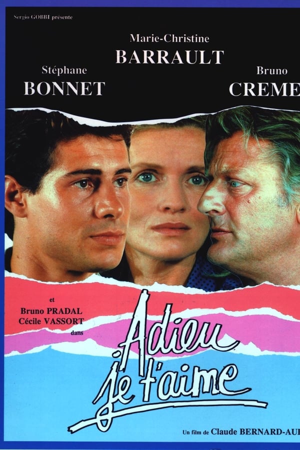 Cover of the movie Adieu, je t'aime