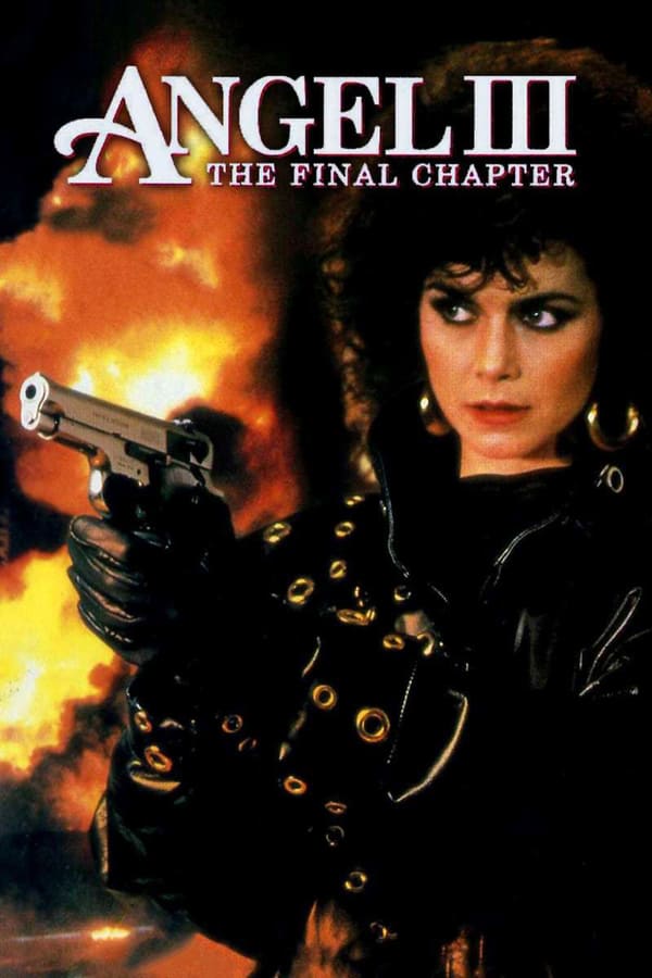 Cover of the movie Angel III: The Final Chapter