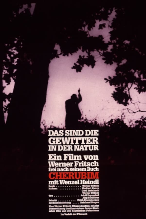 Cover of the movie Das sind die Gewitter in der Natur