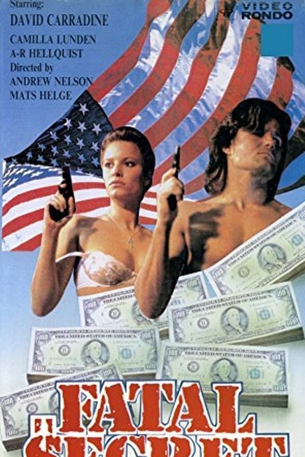Cover of the movie Fatal Secret