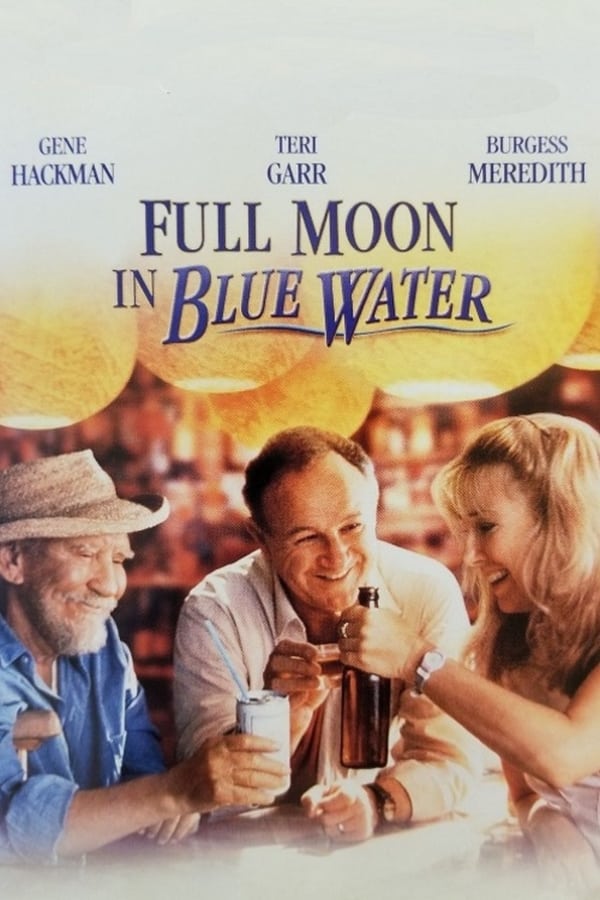 Cover of the movie Full Moon in Blue Water
