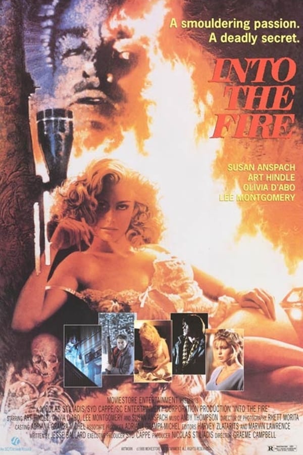 Cover of the movie Into the Fire