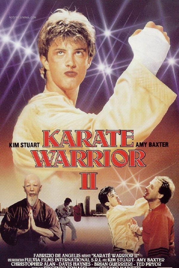 Cover of the movie Karate Warrior 2