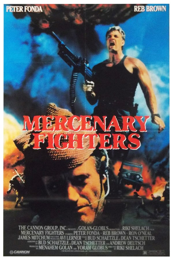 Cover of the movie Mercenary Fighters