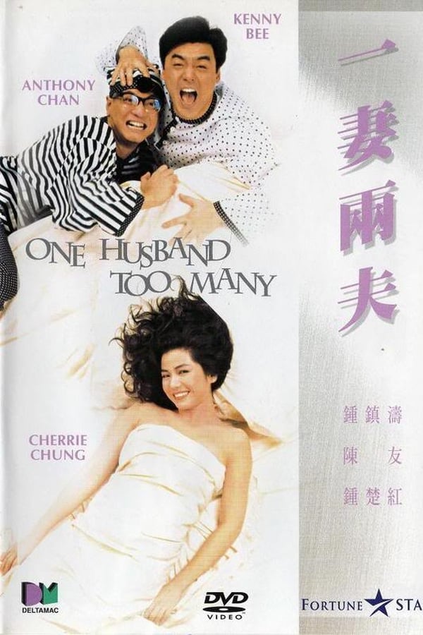 Cover of the movie One Husband Too Many