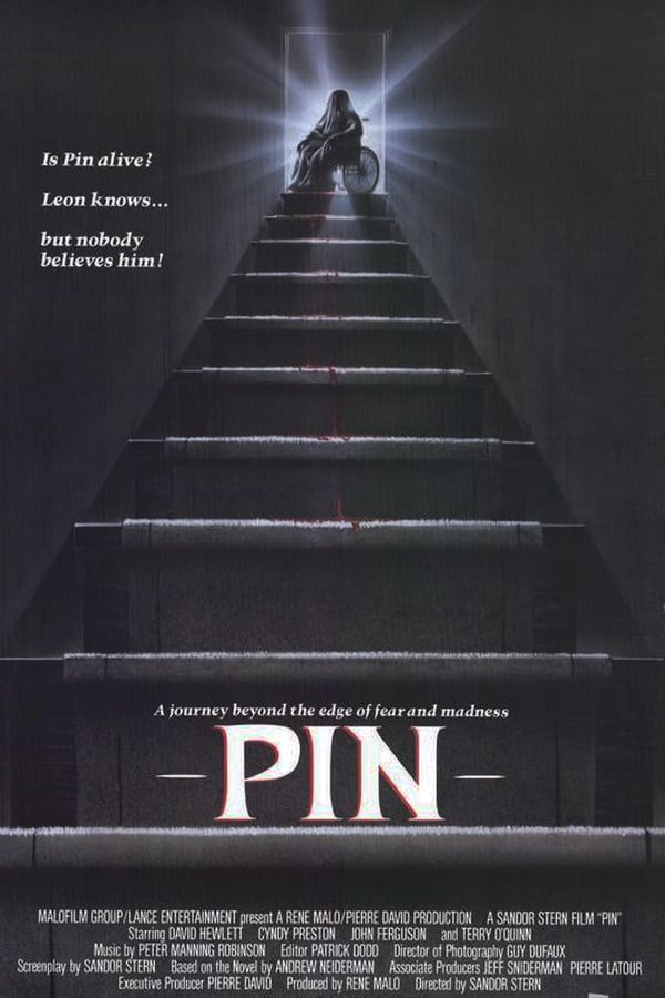 Cover of the movie Pin