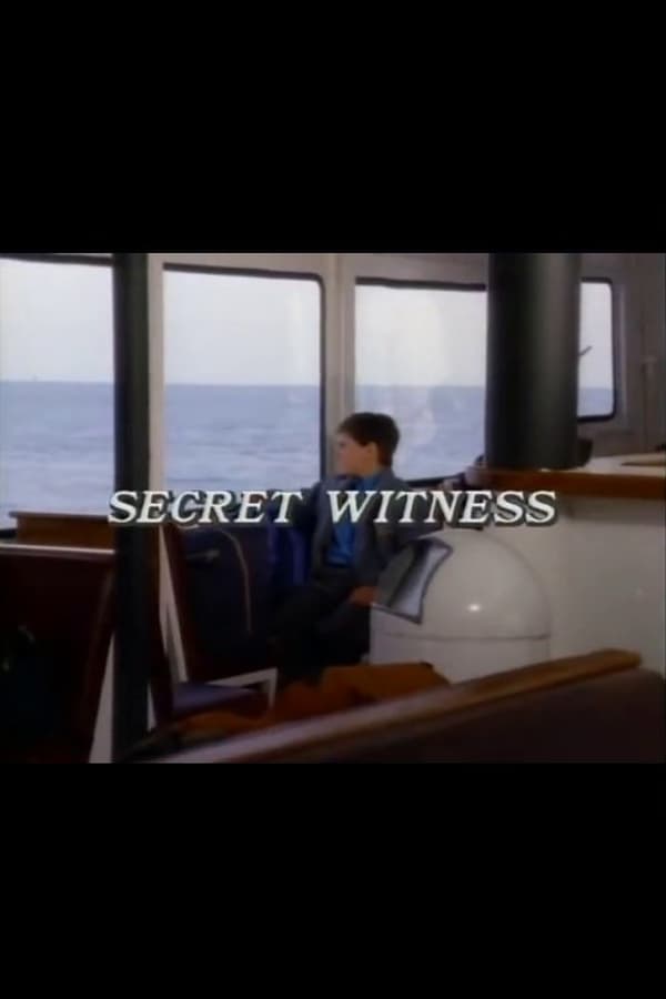 Cover of the movie Secret Witness