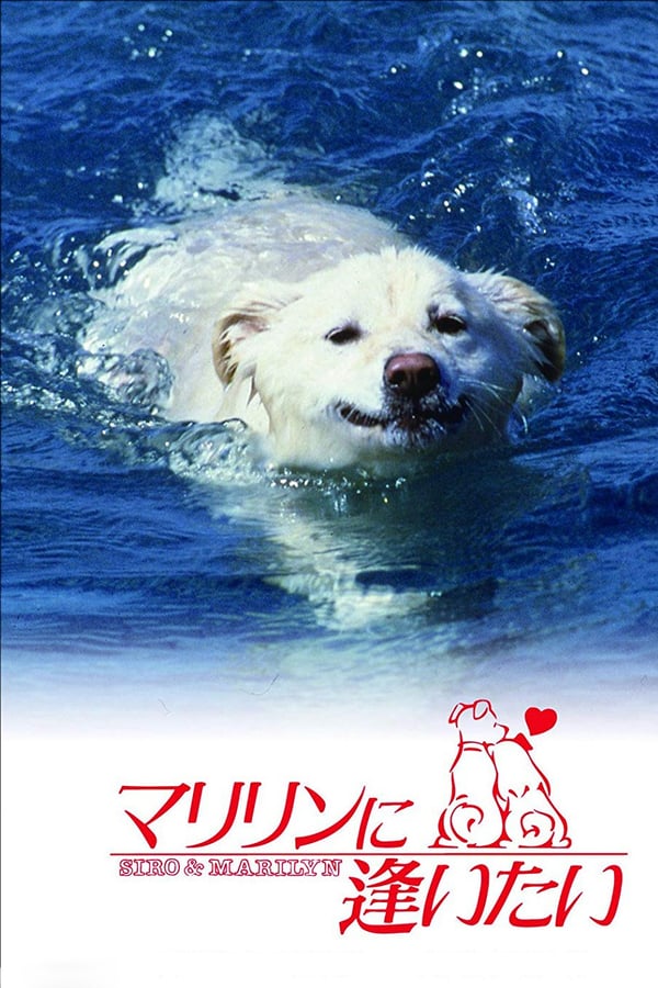 Cover of the movie Shiro and Marilyn